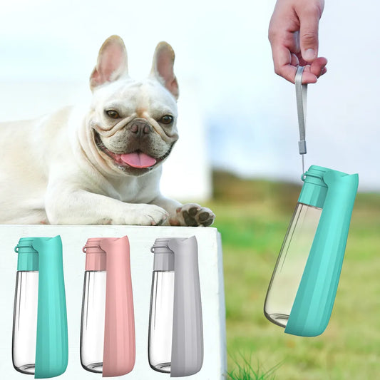 Bouteille d'eau portable avec distributeur pour chien, bol pliable pour boire en extérieur lors de randonnées.
